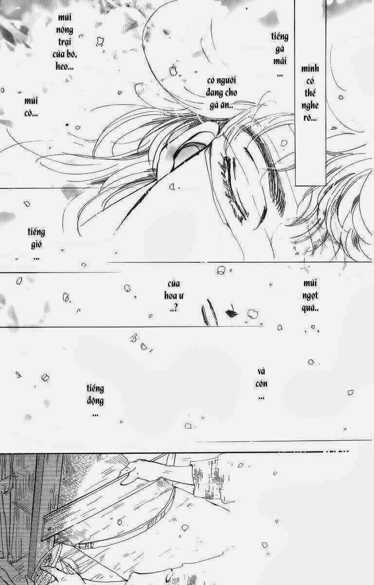 Đứa Con Số Phận Chapter 33 trang 17