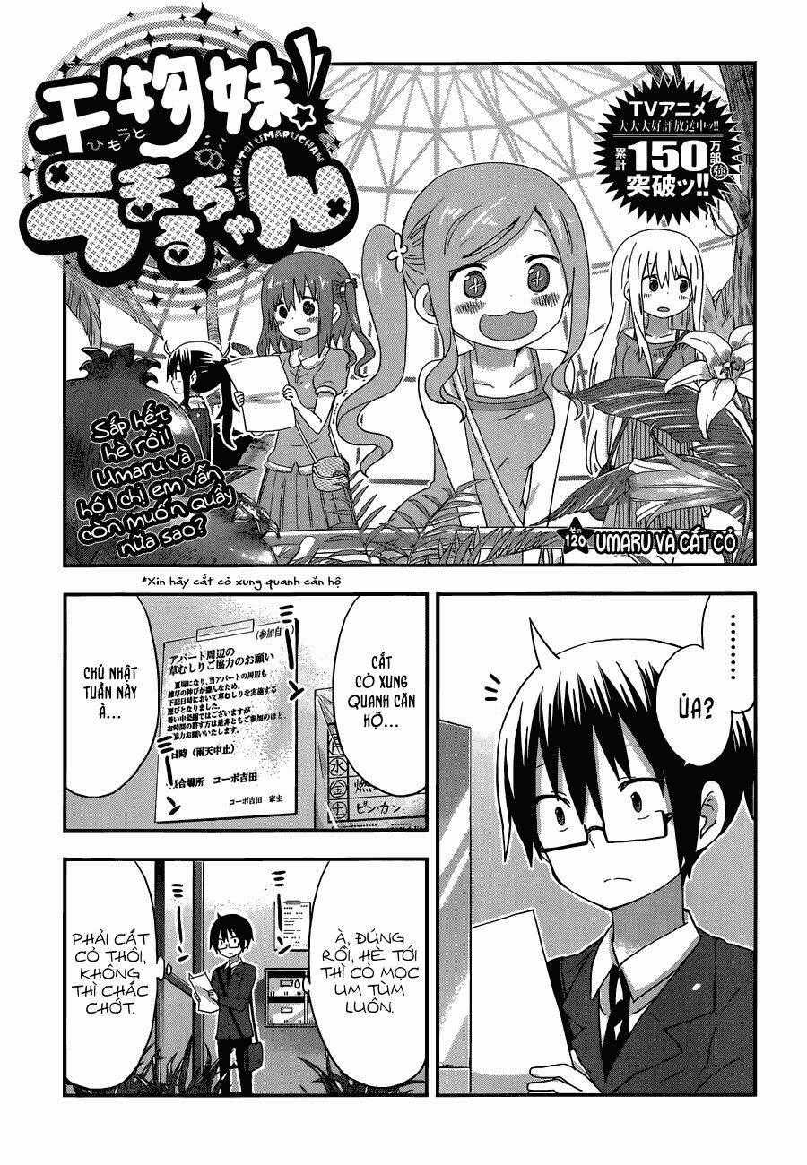 Đứa Em Gái Hai Mặt Chapter 120 trang 0