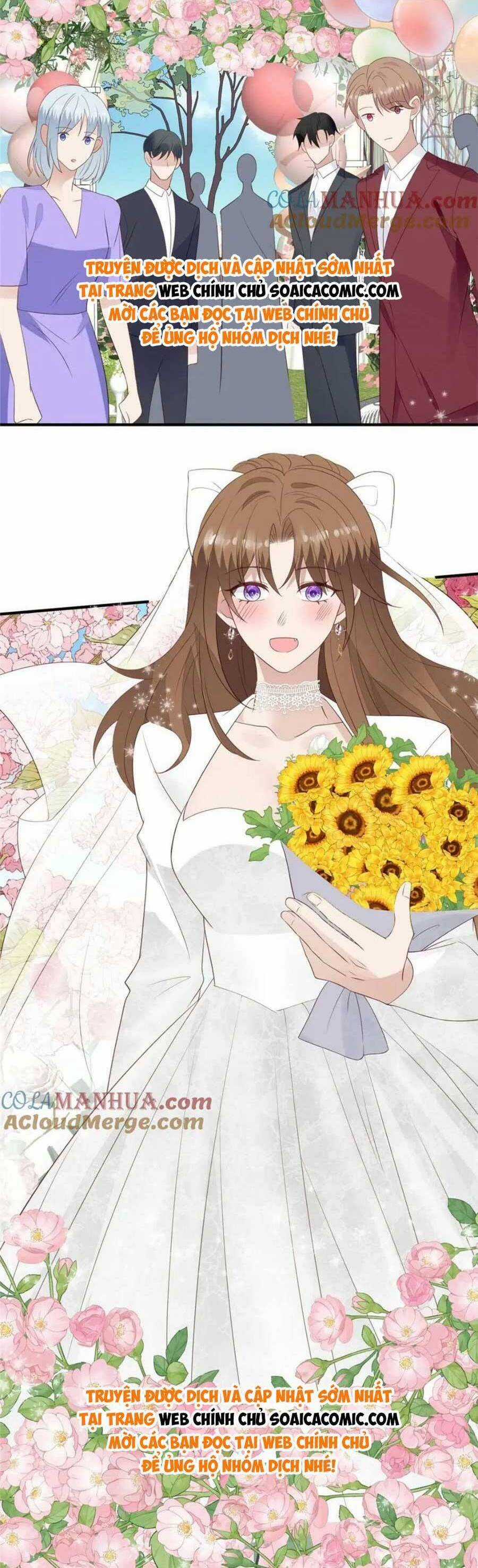 Dựa Vào Đại Lão Ổn Định Vị Trí C Trong Nam Đoàn Chapter 203 trang 12