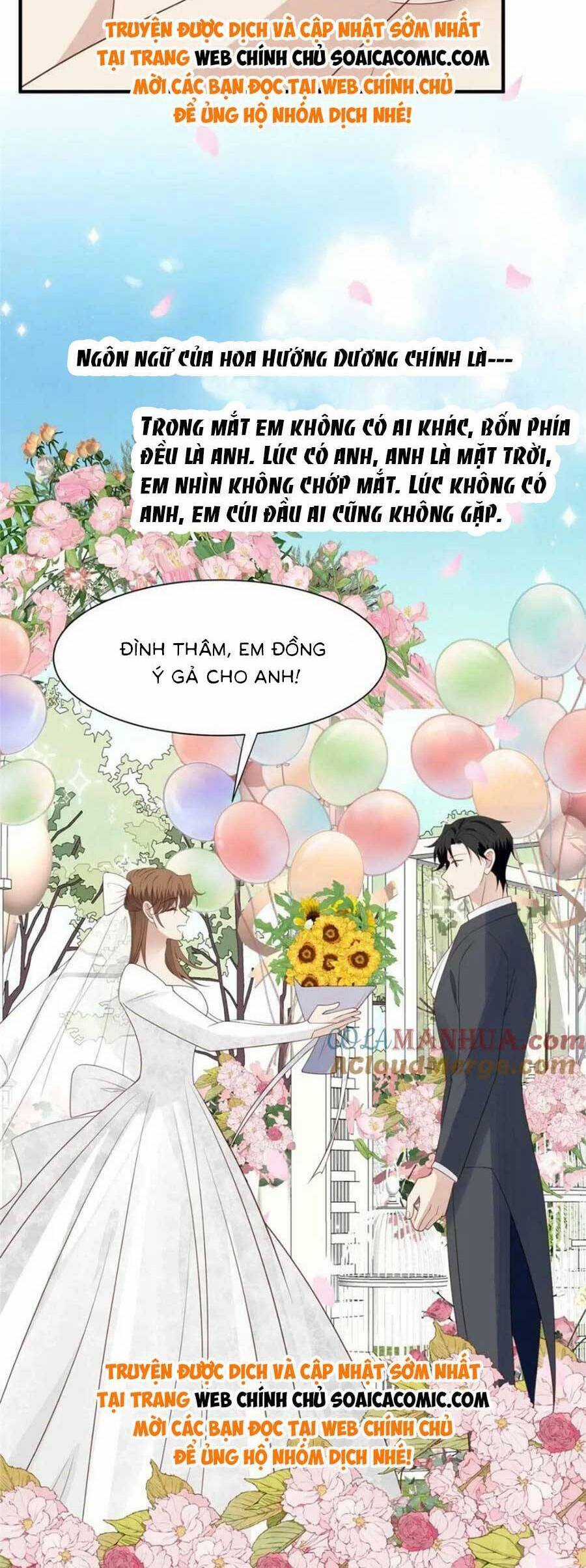 Dựa Vào Đại Lão Ổn Định Vị Trí C Trong Nam Đoàn Chapter 203 trang 15