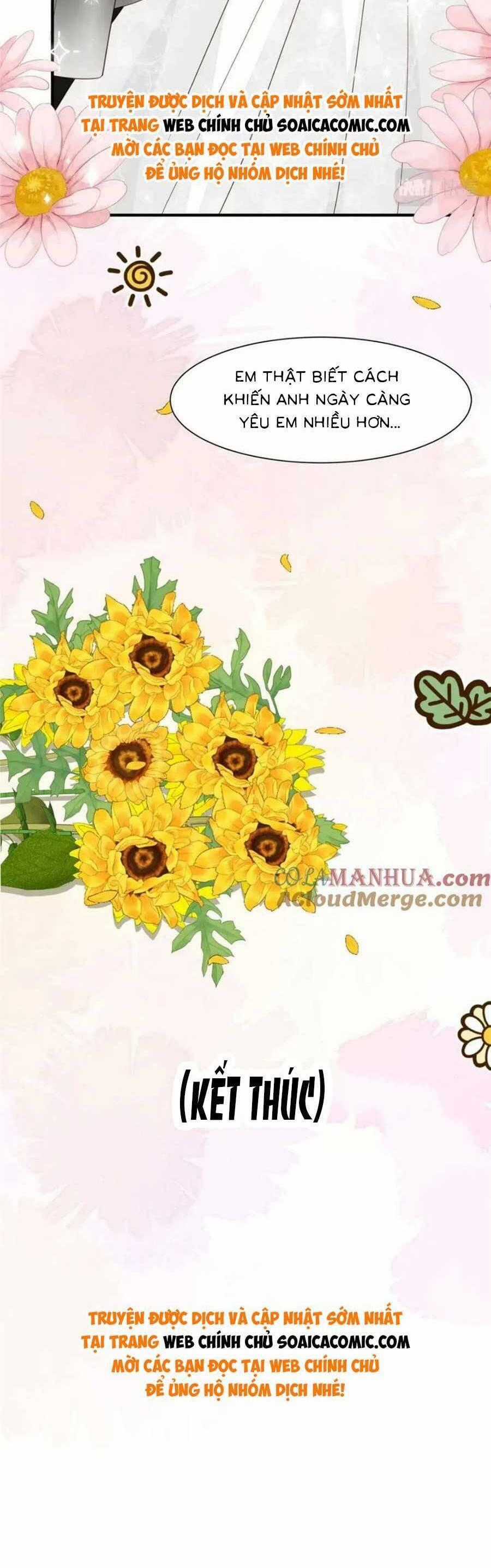 Dựa Vào Đại Lão Ổn Định Vị Trí C Trong Nam Đoàn Chapter 203 trang 17