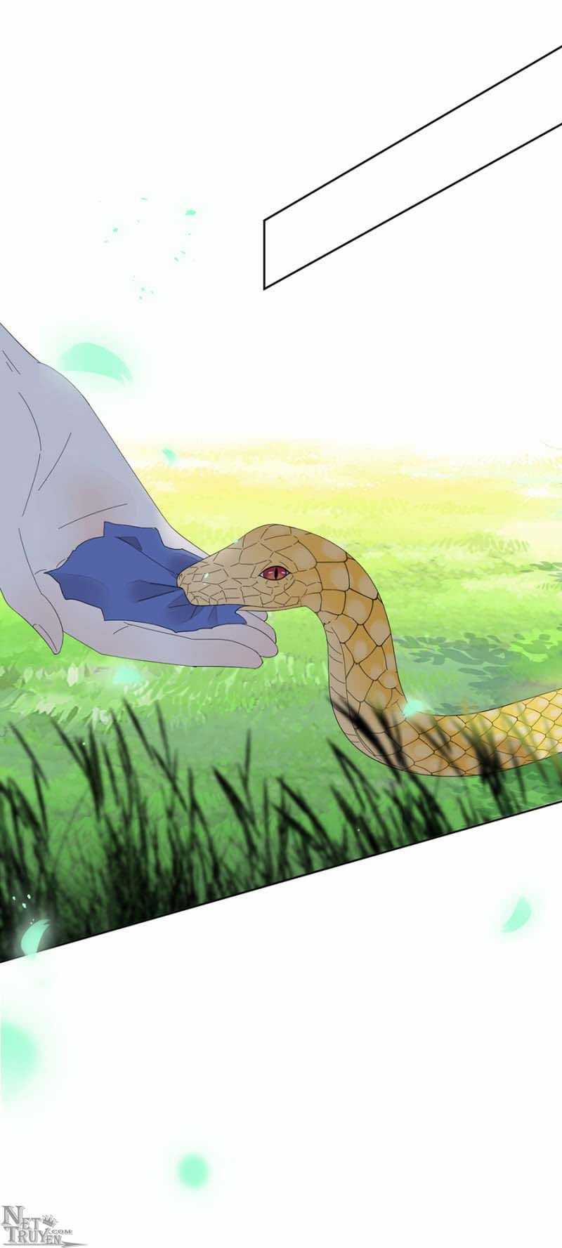 Dục Hỏa Độc Phi Chapter 104 trang 18