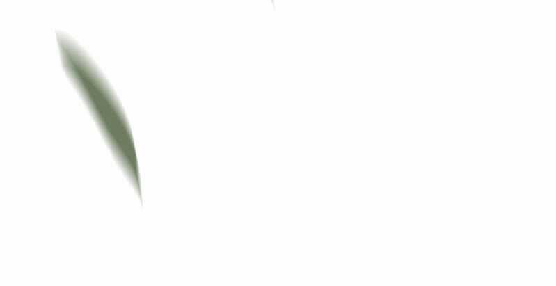 Dục Hỏa Độc Phi Chapter 82 trang 12