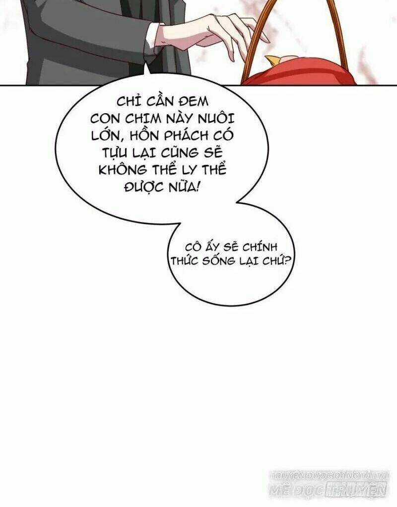 Dục Vọng Của Ác Ma Chapter 50 trang 12