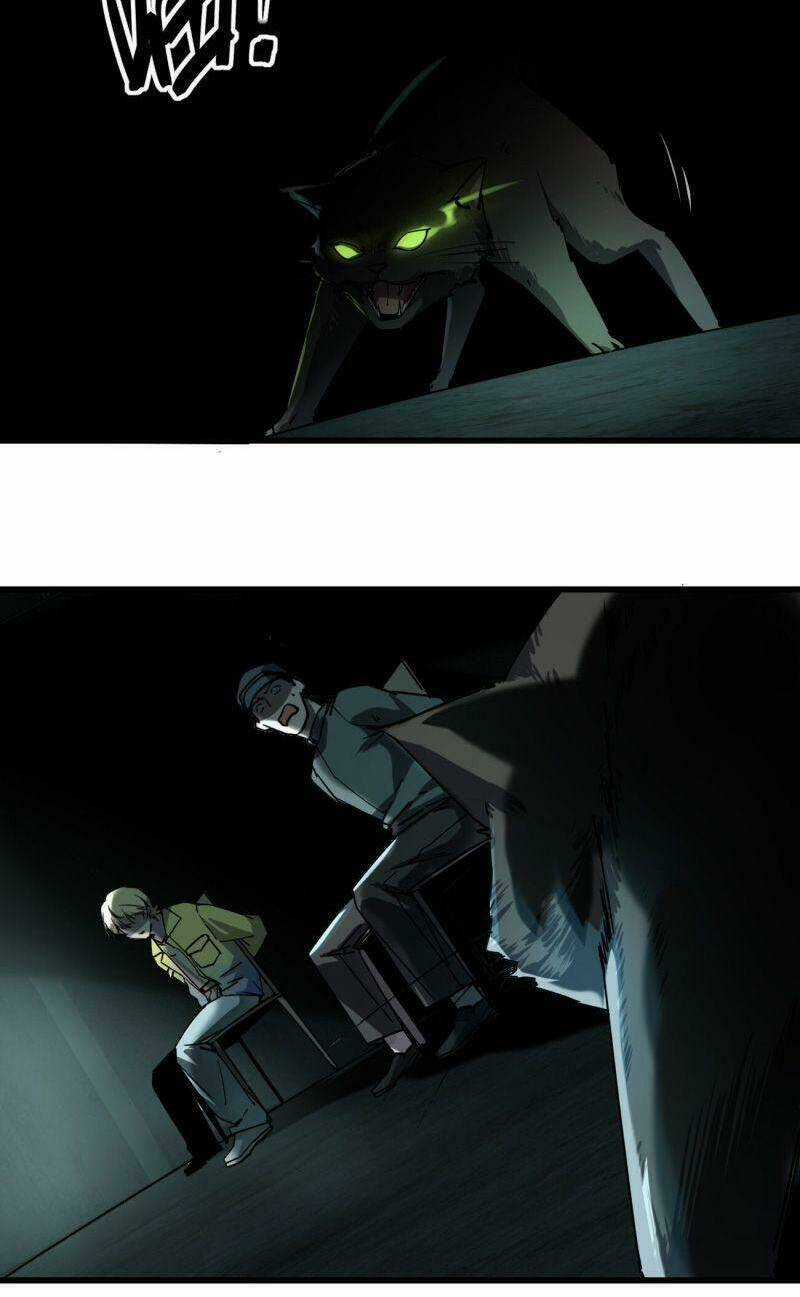 Đừng Hiểu Lầm, Tôi Mới Là Người Bị Hại! Chapter 1 trang 3