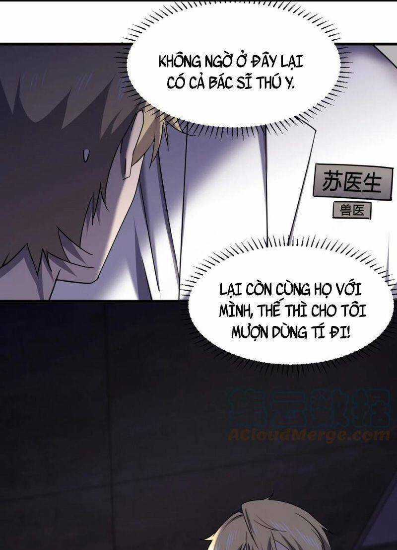 Đừng Hiểu Lầm, Tôi Mới Là Người Bị Hại! Chapter 69 trang 31