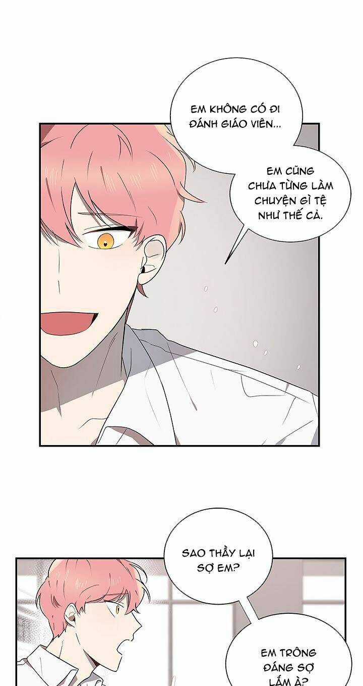 Đừng Lại Gần Giới Hạn 10M Của Tôi Chapter 3 trang 20