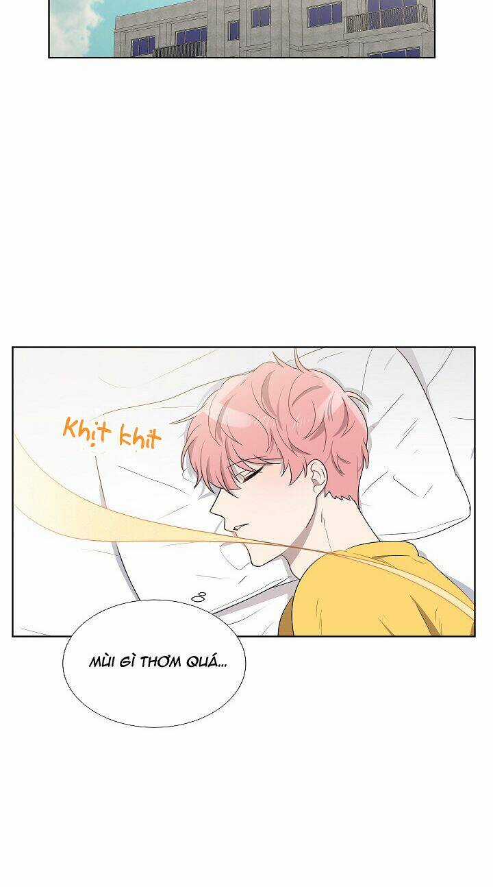 Đừng Lại Gần Giới Hạn 10M Của Tôi Chapter 31 trang 14