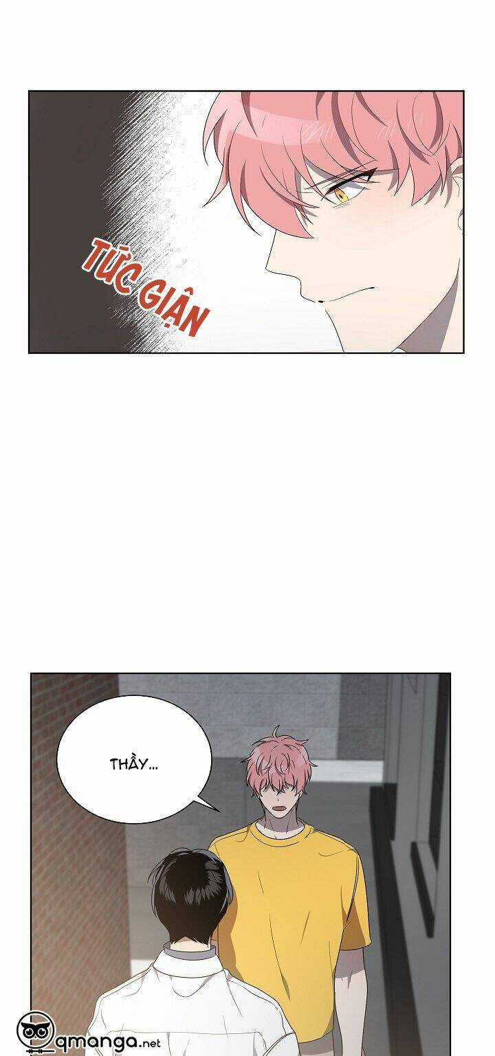 Đừng Lại Gần Giới Hạn 10M Của Tôi Chapter 42 trang 40