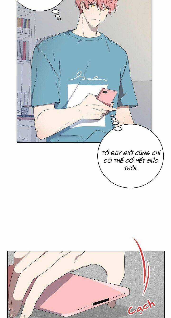 Đừng Lại Gần Giới Hạn 10M Của Tôi Chapter 47 trang 4