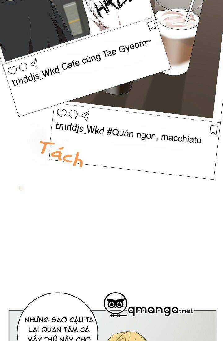 Đừng Lại Gần Giới Hạn 10M Của Tôi Chapter 48 trang 23