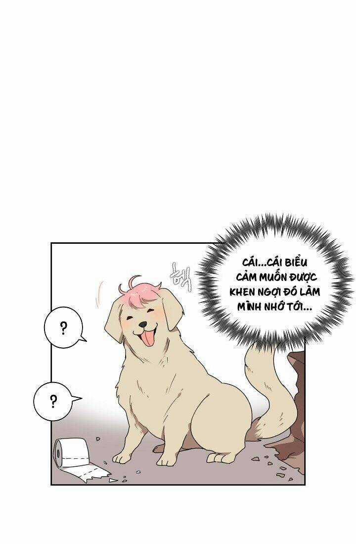 Đừng Lại Gần Giới Hạn 10M Của Tôi Chapter 5 trang 14