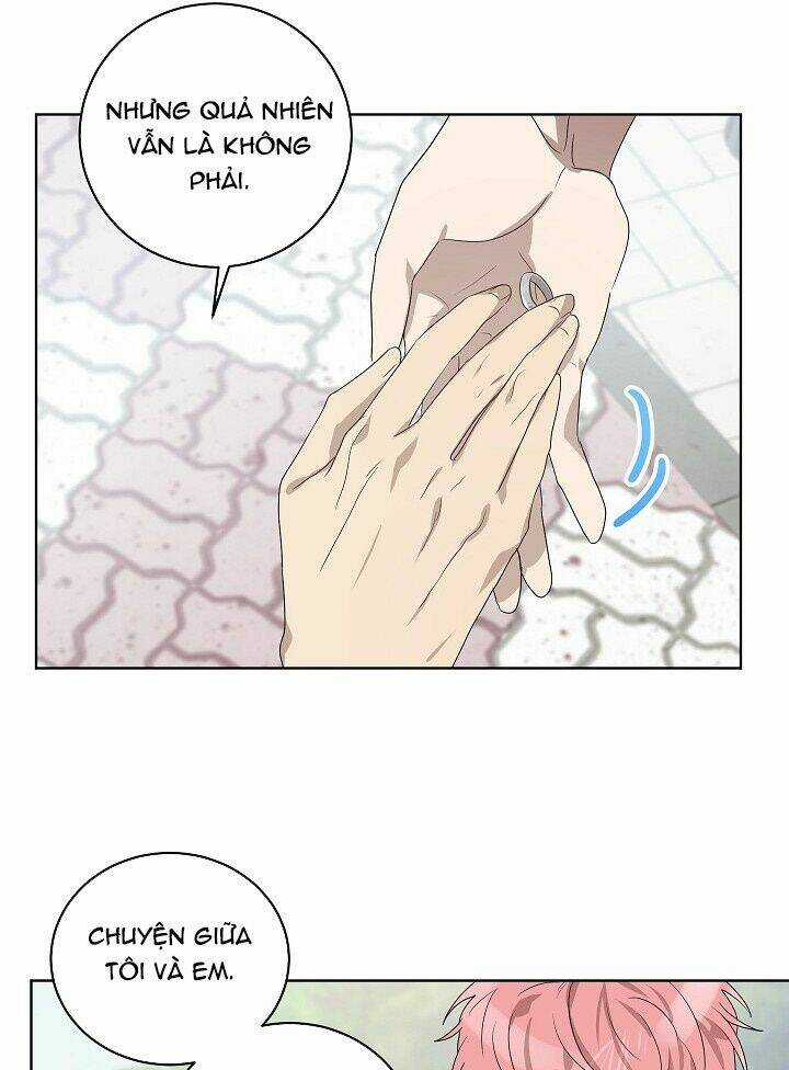 Đừng Lại Gần Giới Hạn 10M Của Tôi Chapter 63 trang 45