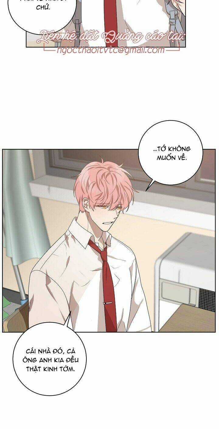 Đừng Lại Gần Giới Hạn 10M Của Tôi Chapter 64 trang 9