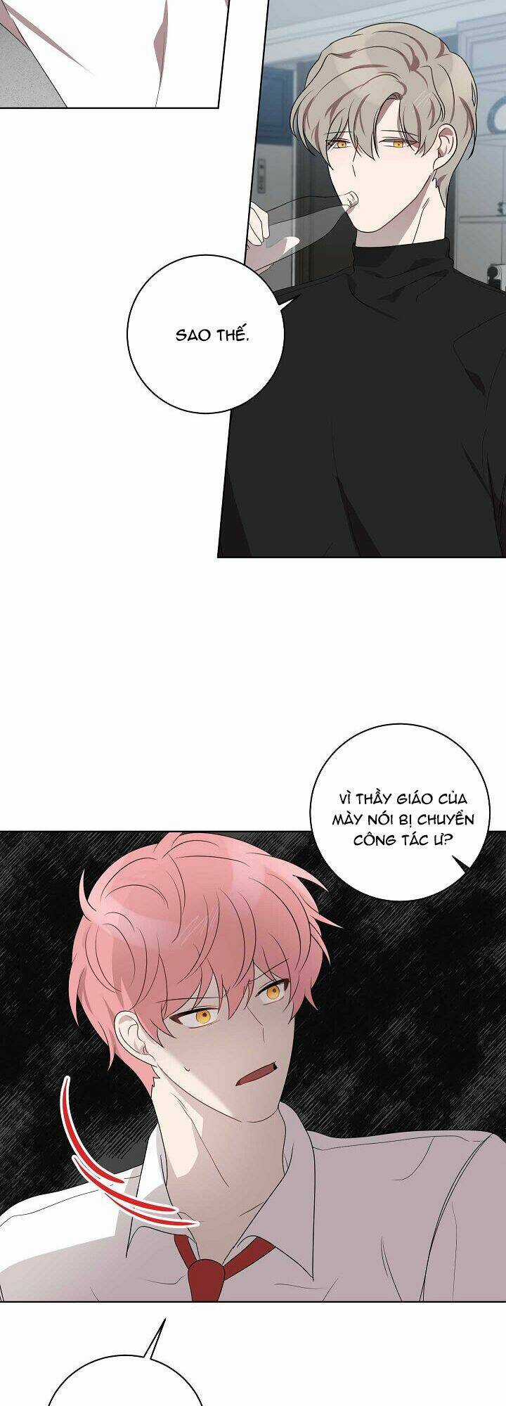 Đừng Lại Gần Giới Hạn 10M Của Tôi Chapter 80 trang 19