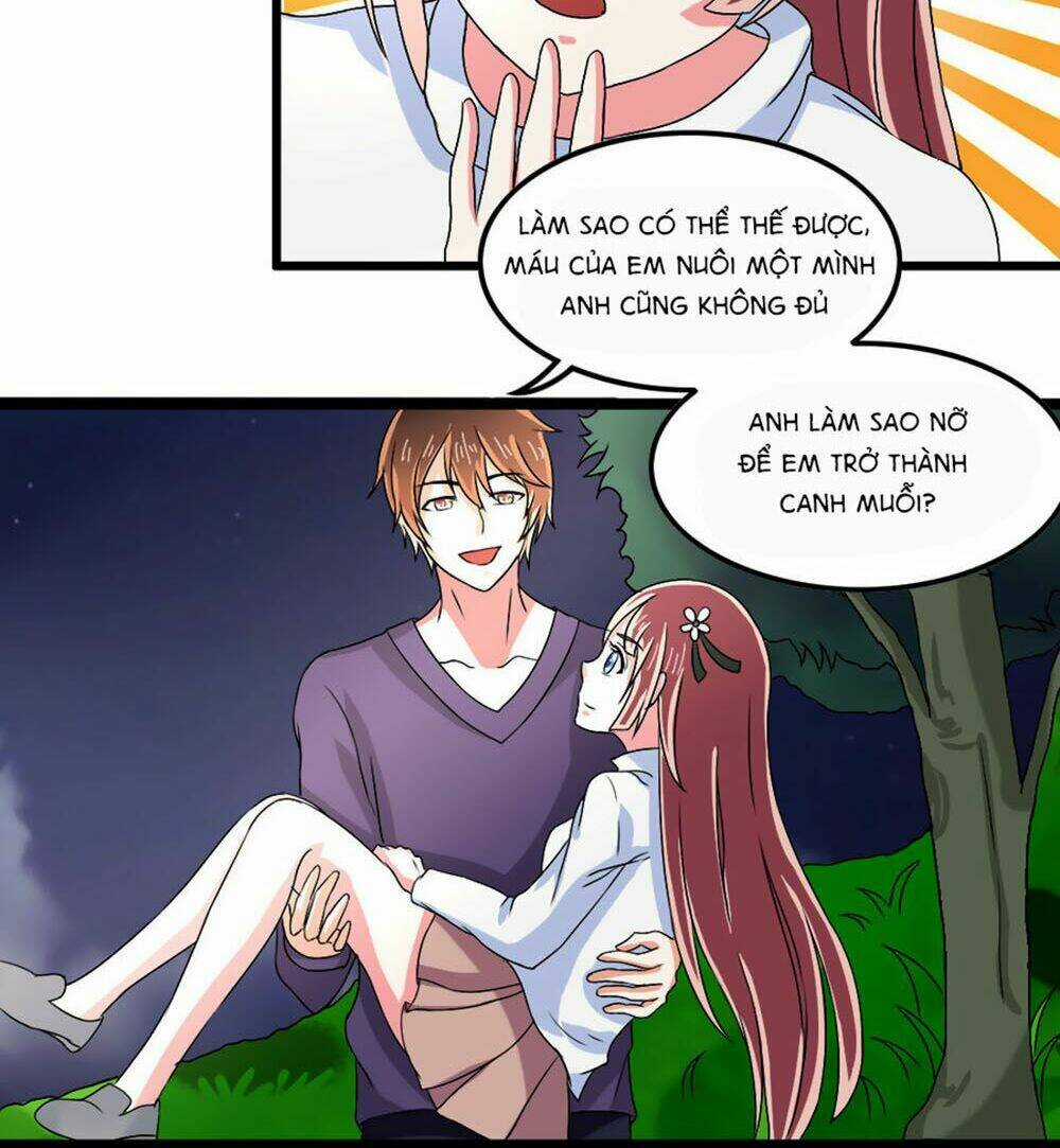 Đụng Phải Tước Vương Huyết Tộc Chapter 11 trang 13