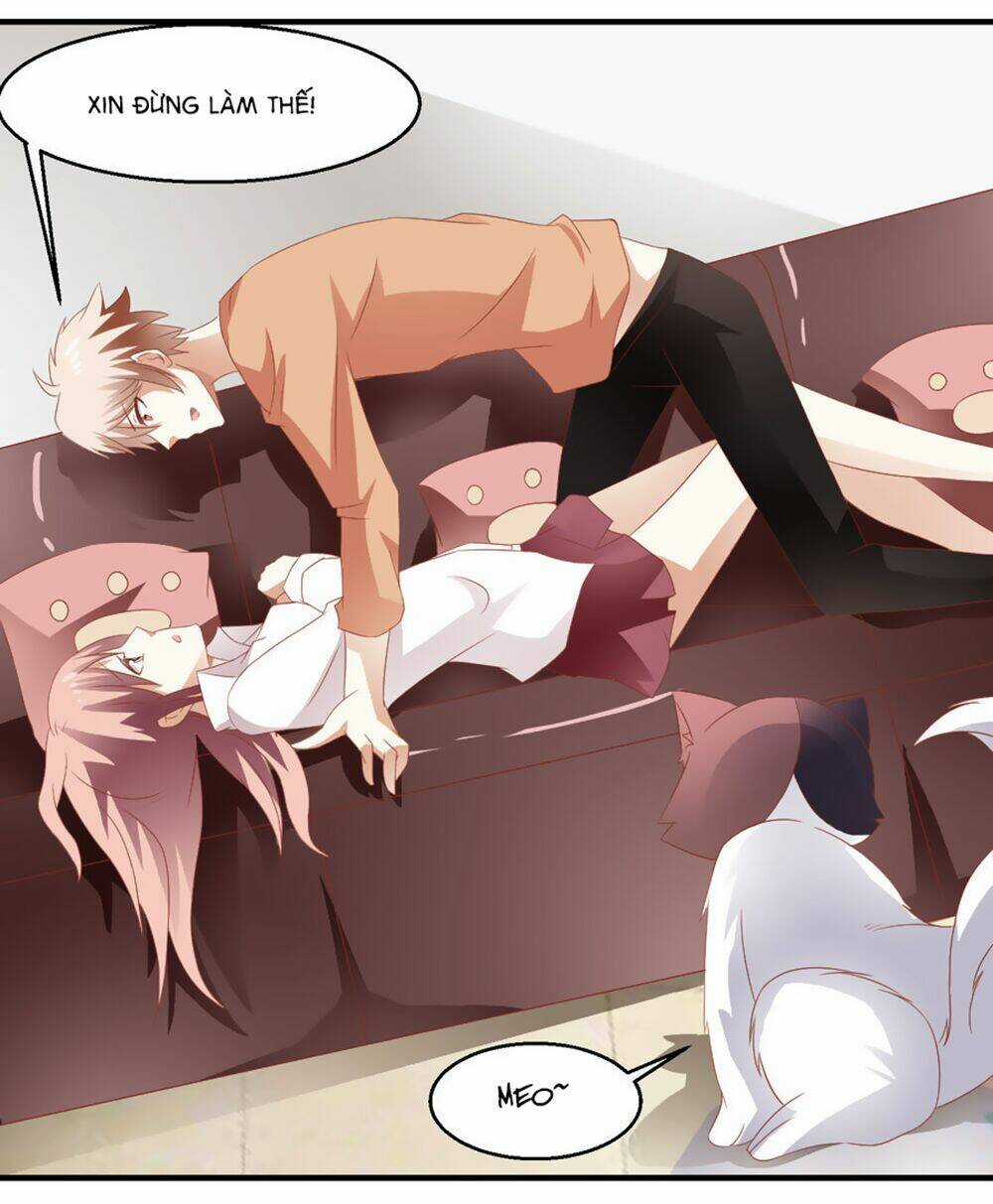 Đụng Phải Tước Vương Huyết Tộc Chapter 7 trang 13