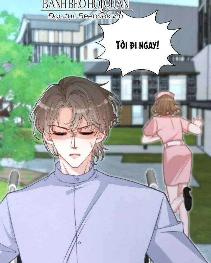 đừng trêu chọc! độc nữ sống lại chỉ để báo thù Chapter 10 trang 11