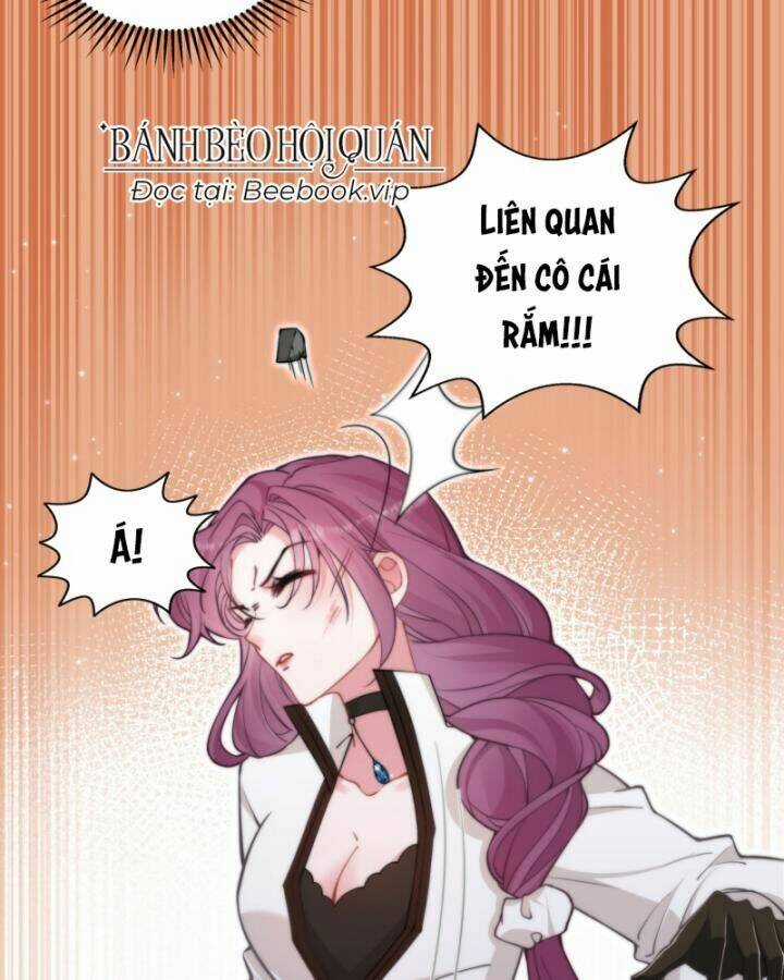 đừng trêu chọc! độc nữ sống lại chỉ để báo thù Chapter 10 trang 41