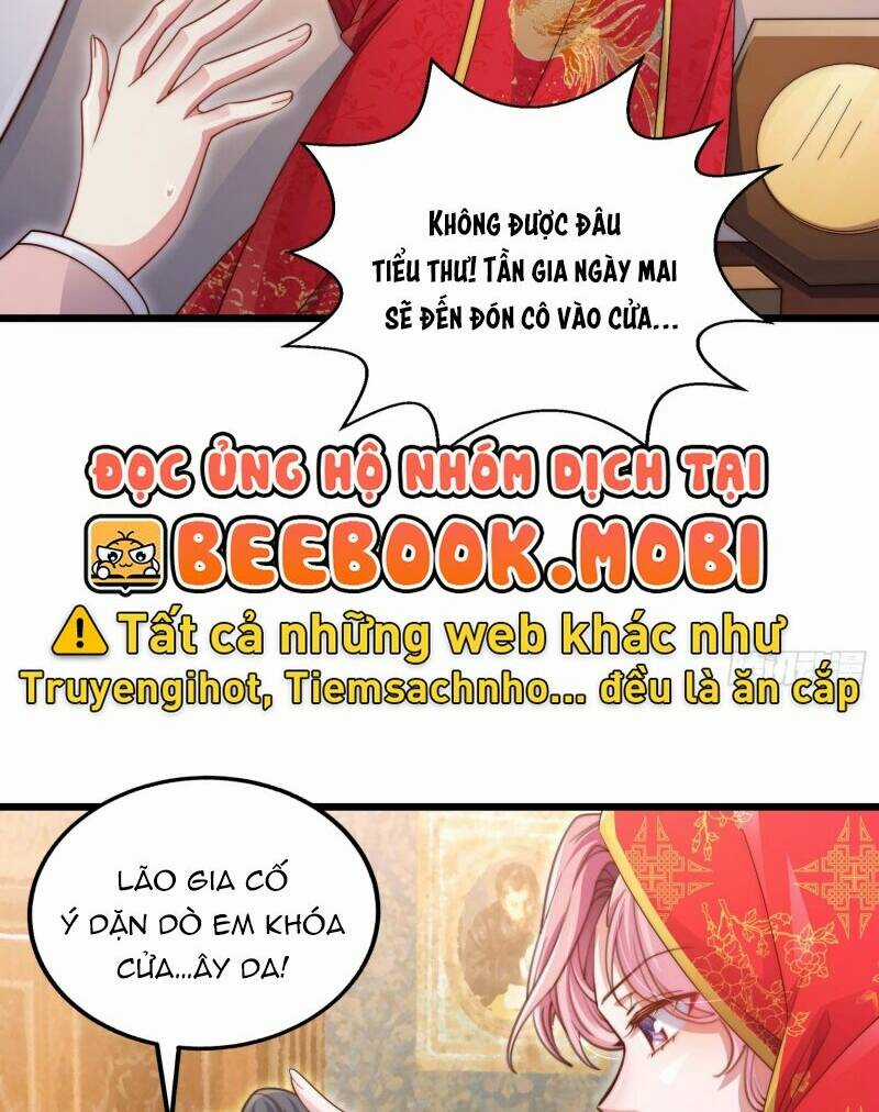 đừng trêu chọc! độc nữ sống lại chỉ để báo thù Chapter 7 trang 4