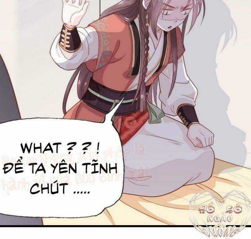 Đứng Yên ! Phụng Chỉ Đánh Cướp Đây Chapter 0 trang 3