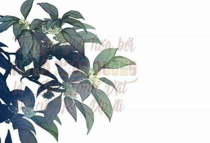 Đứng Yên ! Phụng Chỉ Đánh Cướp Đây Chapter 27 trang 51