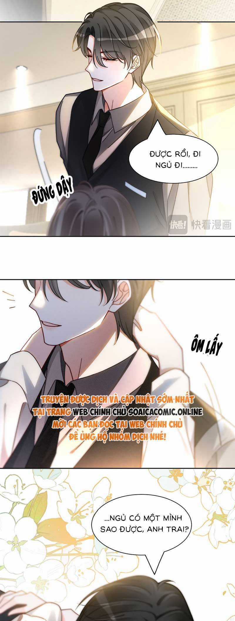 Được Các Anh Trai Chiều Chuộng Tôi Trở Nên Ngang Tàng Chương 252 trang 11