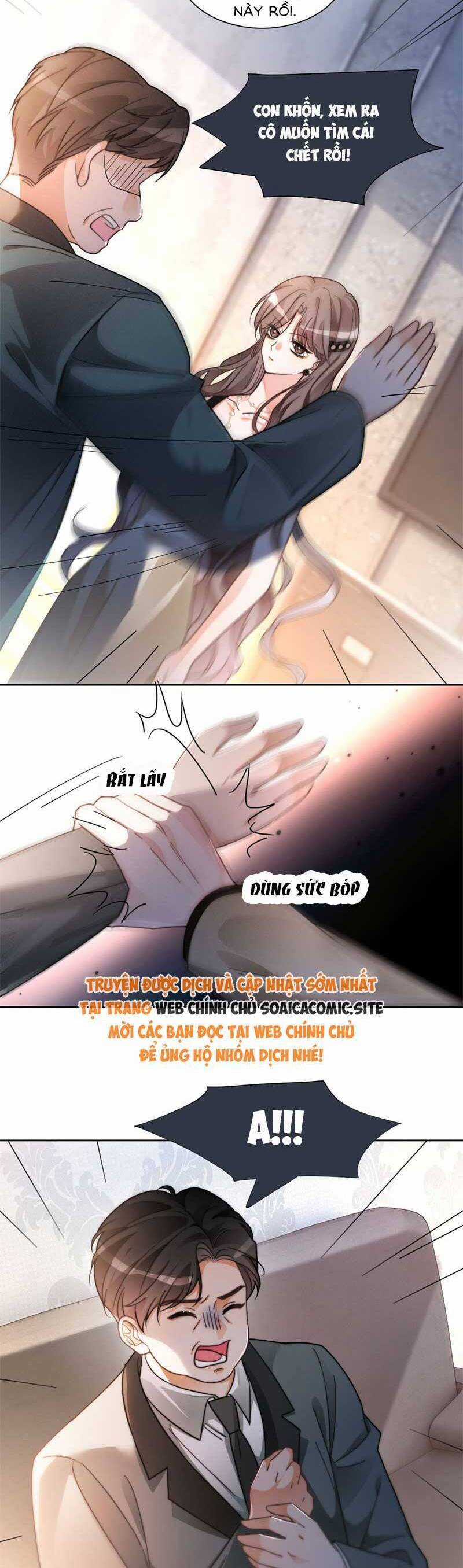 Được Các Anh Trai Chiều Chuộng Tôi Trở Nên Ngang Tàng Chương 256 trang 7