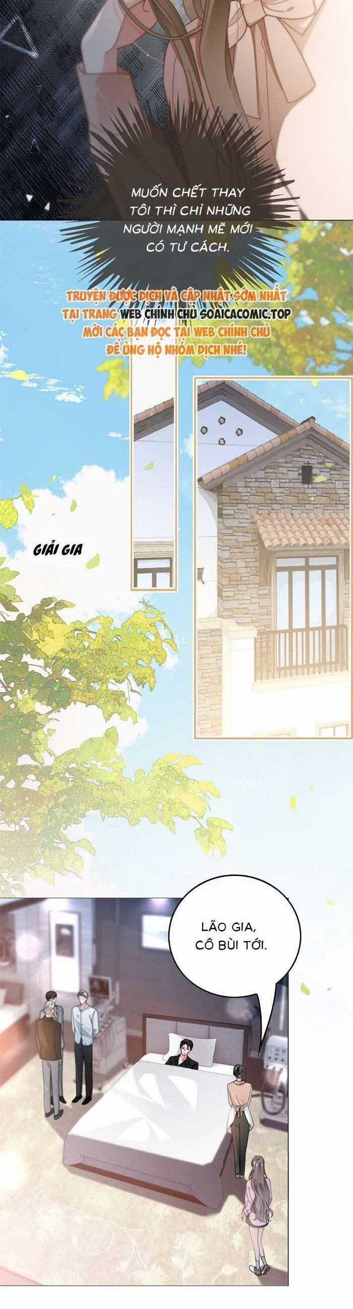 Được Các Anh Trai Chiều Chuộng Tôi Trở Nên Ngang Tàng Chương 287 trang 16