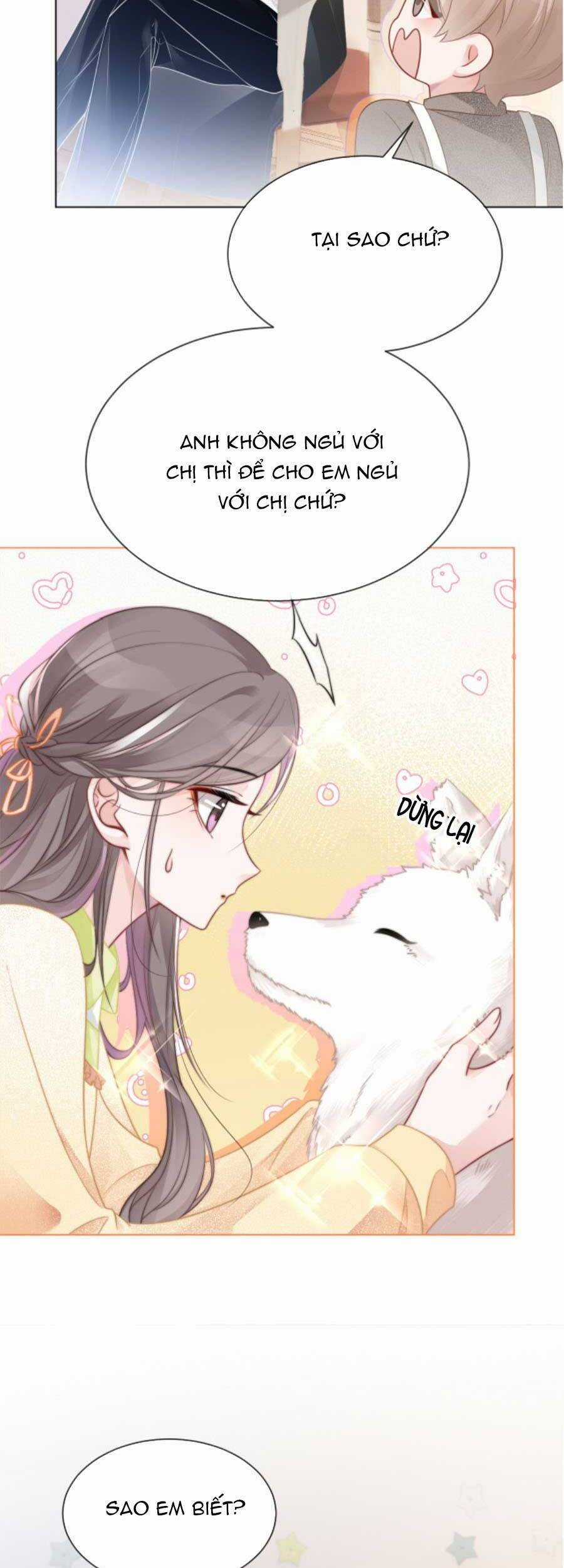 Được Các Anh Trai Chiều Chuộng Tôi Trở Nên Ngang Tàng Chương 40 trang 26