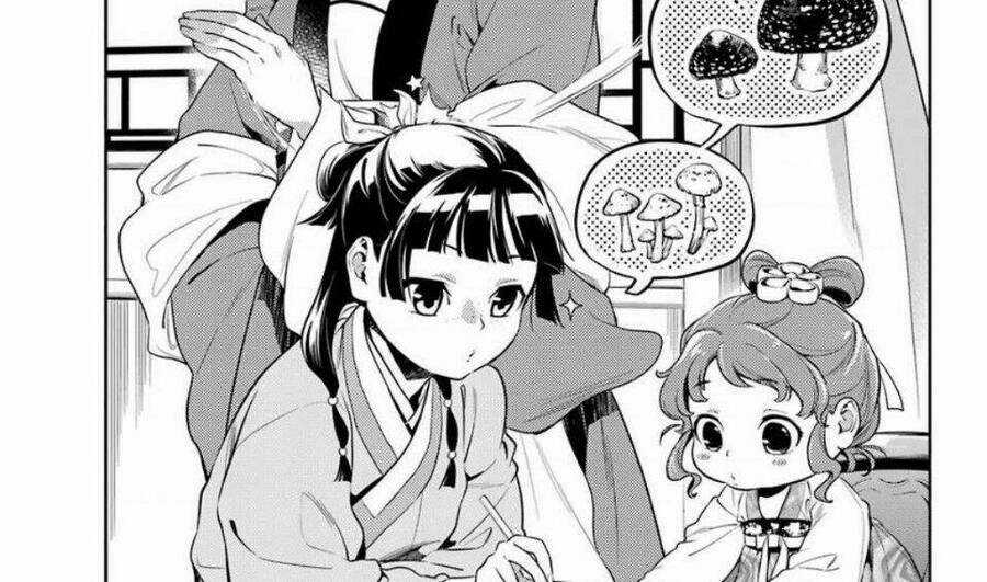 Dược Sư Tự Sự - Nhật Ký Giải Mã Bí Ẩn Chốn Hậu Cung Của Maomao Chapter 36.1 trang 19