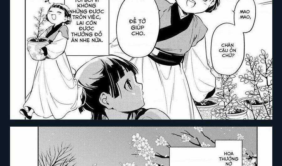 Dược Sư Tự Sự - Nhật Ký Giải Mã Bí Ẩn Chốn Hậu Cung Của Maomao Chapter 36.1 trang 41