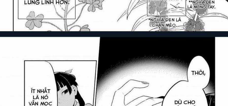 Dược Sư Tự Sự - Nhật Ký Giải Mã Bí Ẩn Chốn Hậu Cung Của Maomao Chapter 36.2 trang 37