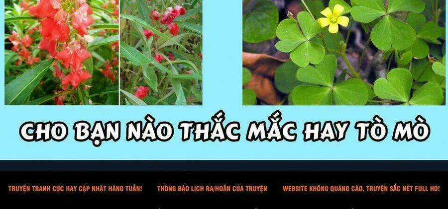 Dược Sư Tự Sự - Nhật Ký Giải Mã Bí Ẩn Chốn Hậu Cung Của Maomao Chapter 36.2 trang 58