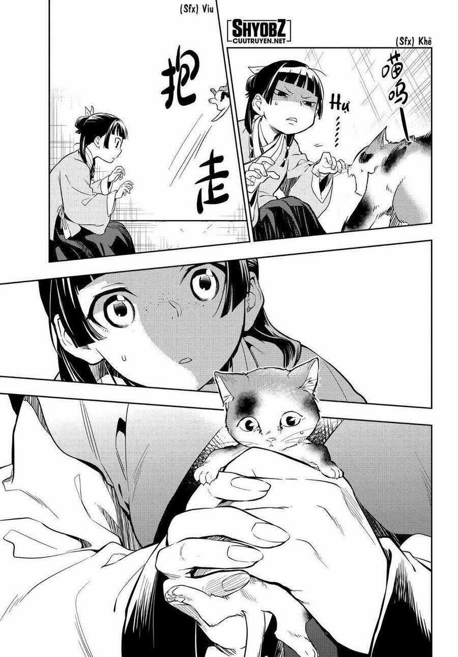 Dược Sư Tự Sự - Nhật Ký Giải Mã Bí Ẩn Chốn Hậu Cung Của Maomao Chapter 42 trang 12