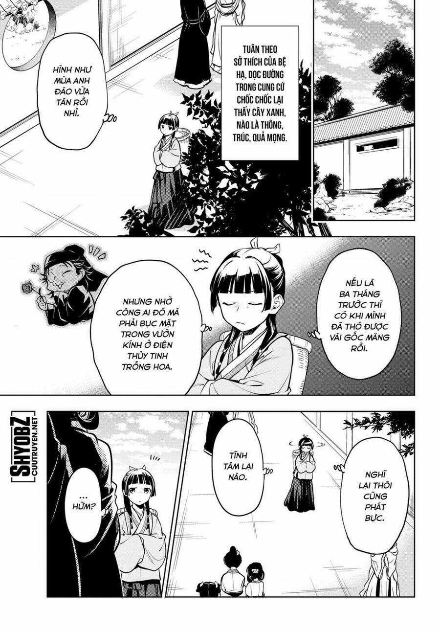 Dược Sư Tự Sự - Nhật Ký Giải Mã Bí Ẩn Chốn Hậu Cung Của Maomao Chapter 49 trang 11