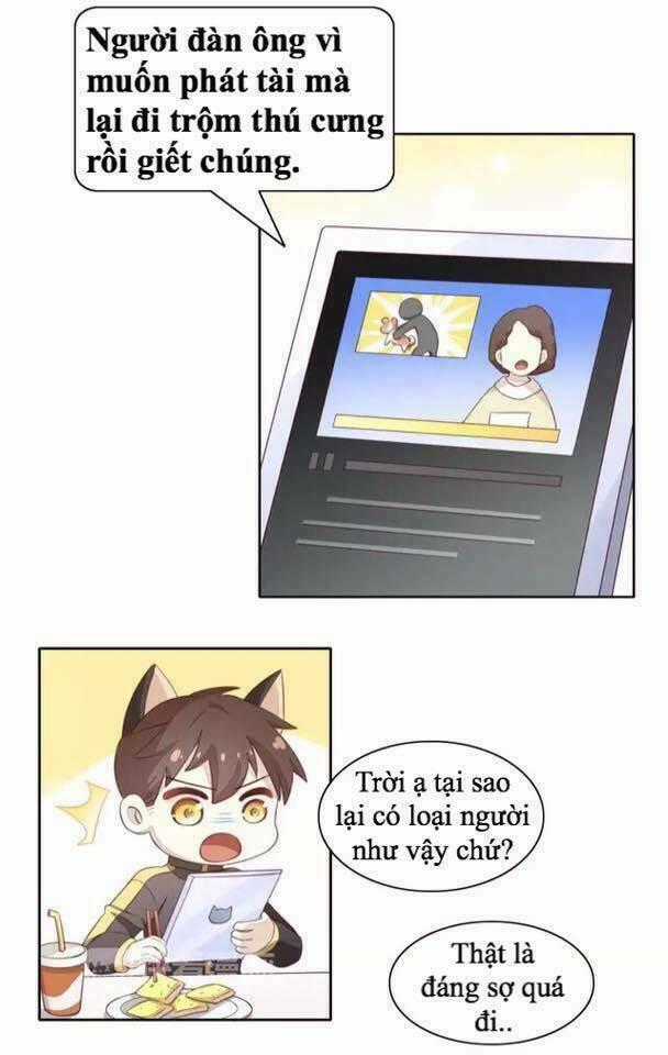 Dưới Móng Vuốt Mèo Chapter 14 trang 1