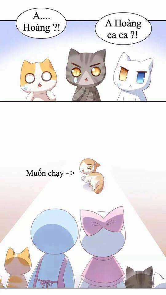 Dưới Móng Vuốt Mèo Chapter 14 trang 17