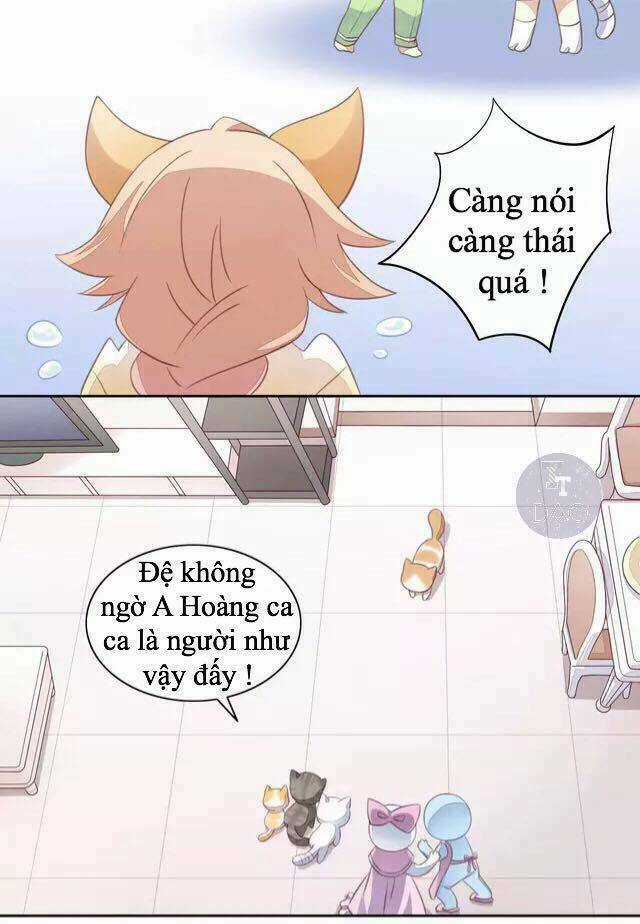 Dưới Móng Vuốt Mèo Chapter 14 trang 19
