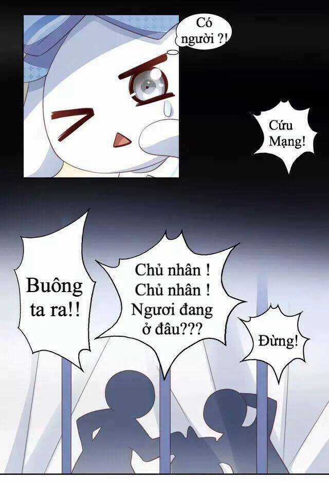 Dưới Móng Vuốt Mèo Chapter 14 trang 30