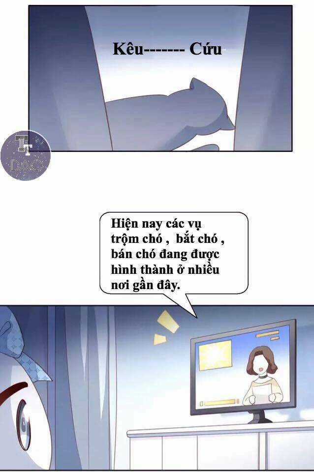Dưới Móng Vuốt Mèo Chapter 14 trang 31