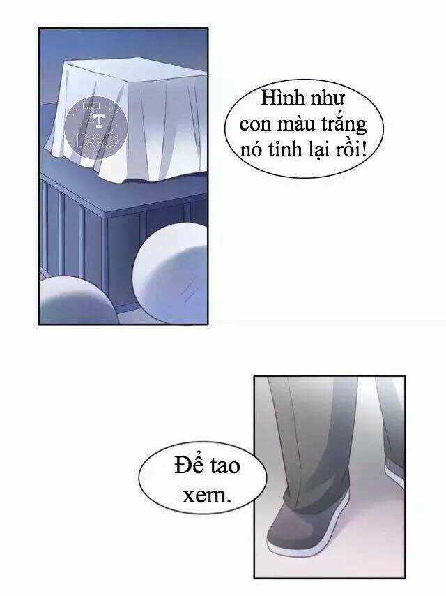 Dưới Móng Vuốt Mèo Chapter 14 trang 34