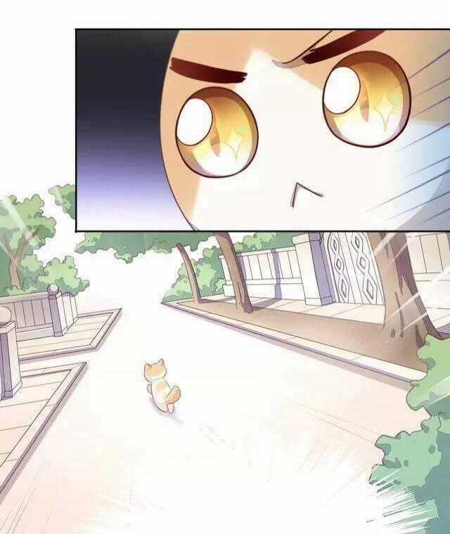 Dưới Móng Vuốt Mèo Chapter 14 trang 39