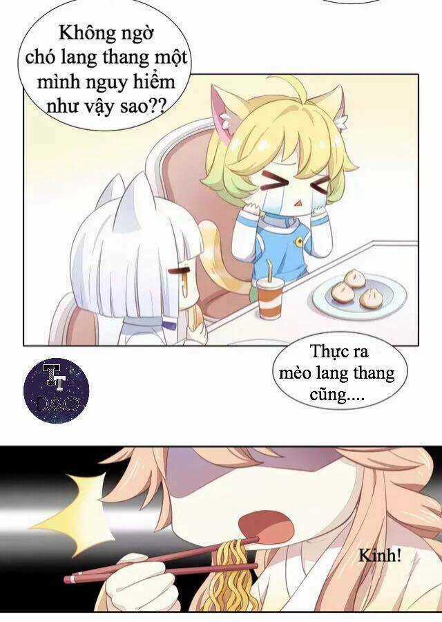 Dưới Móng Vuốt Mèo Chapter 14 trang 5