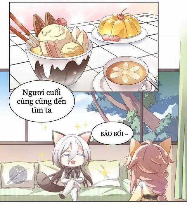 Dưới Móng Vuốt Mèo Chapter 15 trang 1