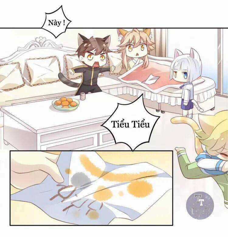 Dưới Móng Vuốt Mèo Chapter 18 trang 12