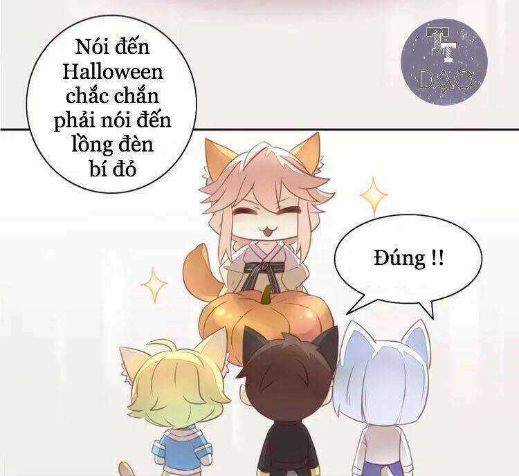 Dưới Móng Vuốt Mèo Chapter 18 trang 19