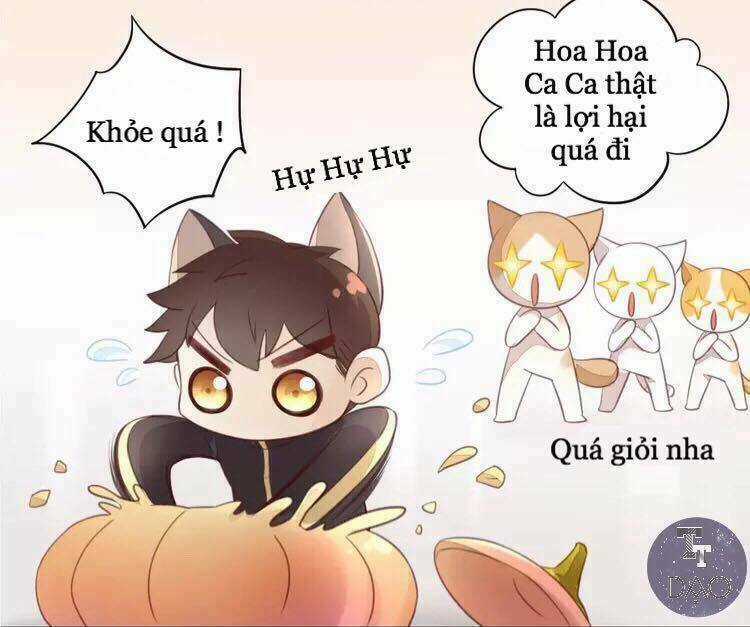 Dưới Móng Vuốt Mèo Chapter 18 trang 24
