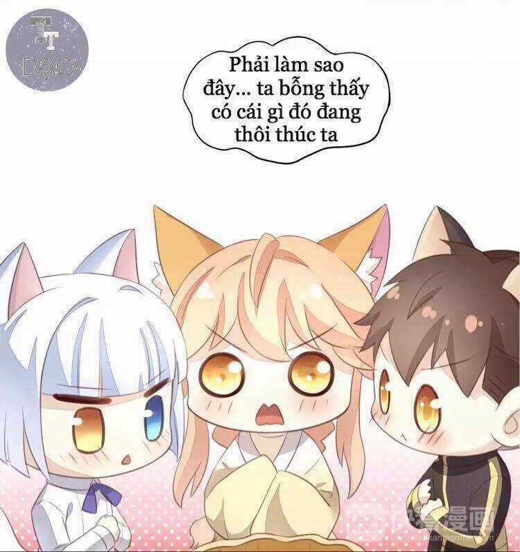 Dưới Móng Vuốt Mèo Chapter 18 trang 29