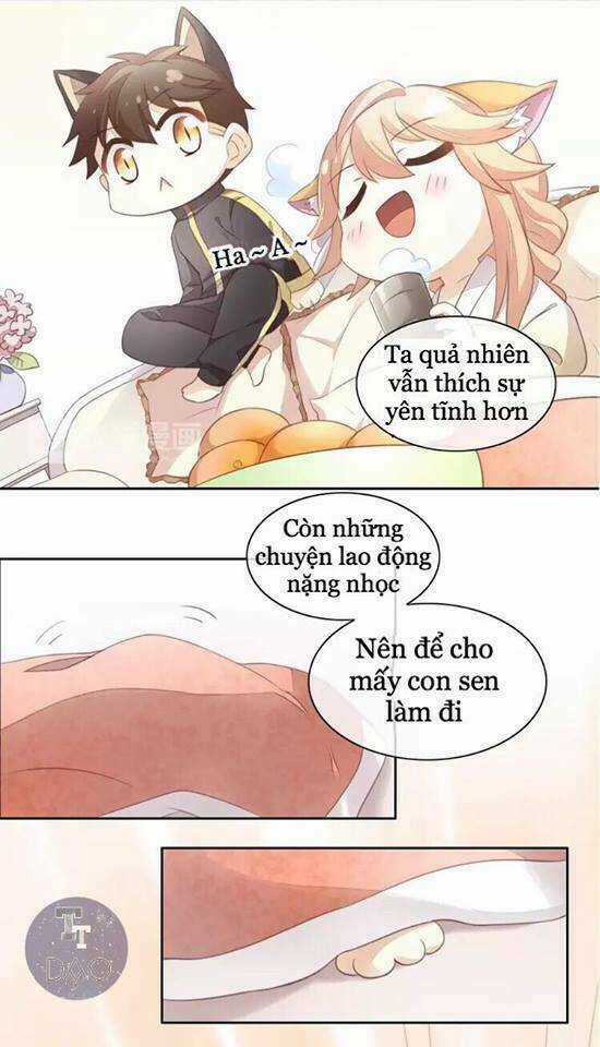 Dưới Móng Vuốt Mèo Chapter 18 trang 3